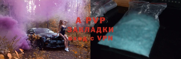 PSILOCYBIN Пересвет