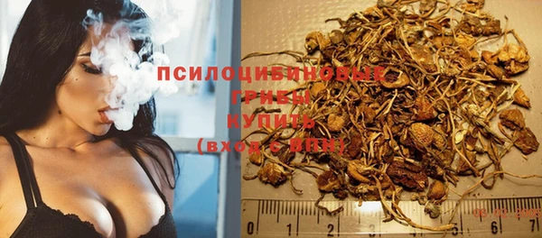 PSILOCYBIN Пересвет