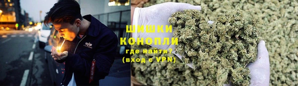PSILOCYBIN Пересвет