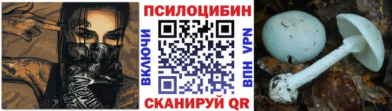 Псилоцибиновые грибы Cubensis  магазин  наркотиков  Струнино 
