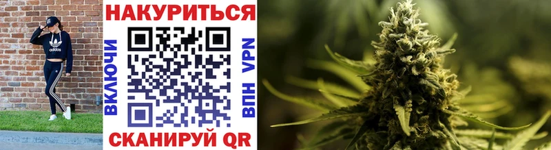 Каннабис ГИДРОПОН хочу Струнино